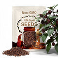Chocolate Habanero Pepper Seeds | Hot | Organic