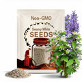 Swamp White Oak Acorns: Fresh 2025 Harvest, Planting Seeds, Wildlife Feed, Tested, Capless