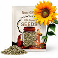 Giant Sungold Sunflower Seeds – Heirloom Flower, Large Teddy Bear Blooms, Medicinal & Culinary, Garden Gift | 25 Seeds