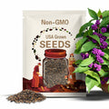 American Beautyberry Seeds - Heirloom Seeds, Callicarpa Americana, Medicinal Plant, Ornamental Berries, Deciduous, Open Pollinated, Non-GMO