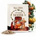Turk's Turban Gourd Seeds 10 Ct Curbita Maxima NON-GMO Heirloom