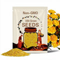 Yellow Carnations Seeds - Showy Blooms, Compact Growth, Attracts Pollinators, Excellent Cut Flowers  - Plant in Spring/Fall