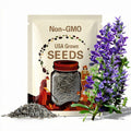Blue Monday Sage Flower Seeds