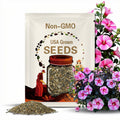 Starry Starry Night Hibiscus Seeds - Edible, Cold Resistant, Showy Flowers, Attracts Pollinators - Plant in Spring or Early Summer