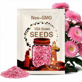 50pcs Pink Giant Teddy Bear Sunflower Seeds – Rare Non-GMO Heirloom Variety – Fluffy Double Blooms for Garden Charm