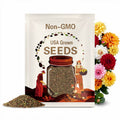 Dahlia Flower Seeds