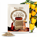 Canary Bell Pepper Seeds: Organic Heirloom, Non-GMO