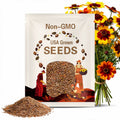 Plains Coreopsis Seeds | Coreopsis Tinctoria | Non-GMO | Flower Seeds | Seed Store | 1271
