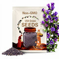 Purple Campanula - Bellflower Seeds - Long Blooming Season, Attracts Pollinators, Low Maintenance - Plant in Spring/Summer