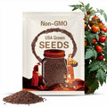 Isis Candy Cherry Tomato Seeds - 25/50/100 Seed Counts - Sweet and Juicy!!