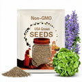 Organic Buttercrunch Leaf Lettuce Seeds Hugely Popular Best Quality Flavor