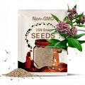 COMMON MILKWEED Seeds *FREE Shipping!* Fresh & Organic Asclepias syriaca Butterfly Attracting Pink Perennial Flower Seeds Bulk