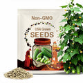 Heirloom Persian Cucumber Seeds - Fresh seeds grown and harvested in USA !! Very popular ! Tasty ! Lebanese !