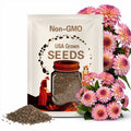 Dahlia Arbatax Seeds - Attracts Pollinators, Long Blooming Season, Vibrant Colors, Excellent Cut Flower, Plant in Spring
