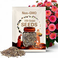 Pacific View Dahlia Seeds - Perennial - Fast Growing - Open-Pollinating - Heirloom - Authentic - Easy to Grow -  #D093