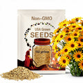 150 YELLOW CREEPING ZINNIA Sanvitalia Procumbens Seeds