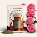 20+ Seeds| Temple Of Beauty Dahlia Seeds - Perennial - Flowering- Hybrid - Open-Pollinating - Fast Growing - Clumping- Plant in Spring #D019