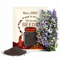 Nigella Delft Blue Nigella seeds 50