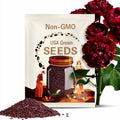 dark red double Hollyhock seeds
