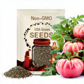 Giant Belgium Tomato Seeds