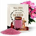 PINK HIBISCUS Seeds *Free Shipping!* Fresh & Organic Hibiscus moscheutos Seeds | Pink Outdoor Flower Seeds for Planting | Rose Mallow