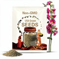 NEW! Las Vegas Fig Leaved Hollyhock Seeds, Perennial Hollyhocks, Alcea Ficifolia, AL8820