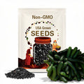 NEW! Black Beauty Zucchini Seeds, Curcubita Pepo CB1125