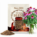 300 Echinacea Flower Seeds