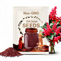 Scarlet Sage Seeds 100+ Salvia Coccinea Herb NON-GMO PERENNIAL