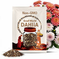 20+ Seeds| Small World Dahlia Seeds - Perennial - Flowering - Hybrid - Open-Pollinating - Fast Growing - Clumping - Plant in Spring #D042