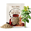 Winter Giant Spinach Seeds