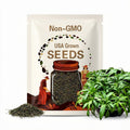 Culantro Seeds | Heirloom
