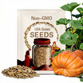1482 Pound Giant Pumpkin Seed - "Snoop Gourd" - 1 seed