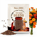 Marigold French Sparky Mix Seeds 100+ Tagetes Flower NON-GMO