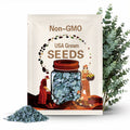 Eucalyptus Silver plate seed 25