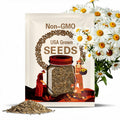 Shasta Daisy Seeds | Heirloom Non-GMO Perennial Flowers