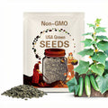 Diva Cucumber Seeds