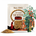 Sungold Cherry Tomato Seeds - 25/50/100 Seed Counts - Sunny and Sweet!