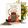 20+ Seeds| Poppers Dahlia Seeds - Perennial - Flowering - Hybrid - Open-Pollinating - Fast Growing - Clumping - Plant in Spring #D069