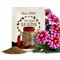 20+ Seeds| Edge of Joy Dahlia Seeds - Perennial - Flowering - Hybrid - Open-Pollinating - Fast Growing - Clumping - Plant in Spring #D087