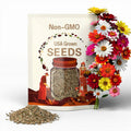 100 Zahara Bonfire Mix Zinnia Seeds | Bright Summer Flower Seeds | Drought-Tolerant Blooms for Garden Beds & Pots