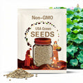 Edible Sacred Large Lotus 4 Seeds - Nelumbo Nucifera - 食用藕荷花 湘莲 연꽃 Hoa Sen - producing seed fruit and edible roots