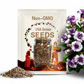 25+ Seeds | Purple Trumpet Datura Seeds, Unique Double Blooms, Exotic Ornamental Flower for Night Gardens