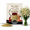 Chamomile, Roman | 300 Seeds | Medicinal | Culinary Herb | Non GMO | Anthemis nobilis
