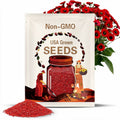 2000 Red Corn Poppy Flower Seeds Papaver rhoeas, Premium Non-GMO, Open Pollinated, US Grown Seed, Always Fresh!