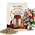 Short Track Dahlia Perennial Seeds  -Pollinator Friendly- Open Pollinated - Heirloom - Flower Seeds - Mix Seeds to Plant - .#D072