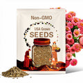 50 seeds ZINNIA – Lilliput Salmon