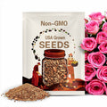 30 Seeds | Leonardo da Vinci Pink Rose Seeds - Perennial - Authentic Seeds - Late Winter to Early Spring Planting Time #1027.